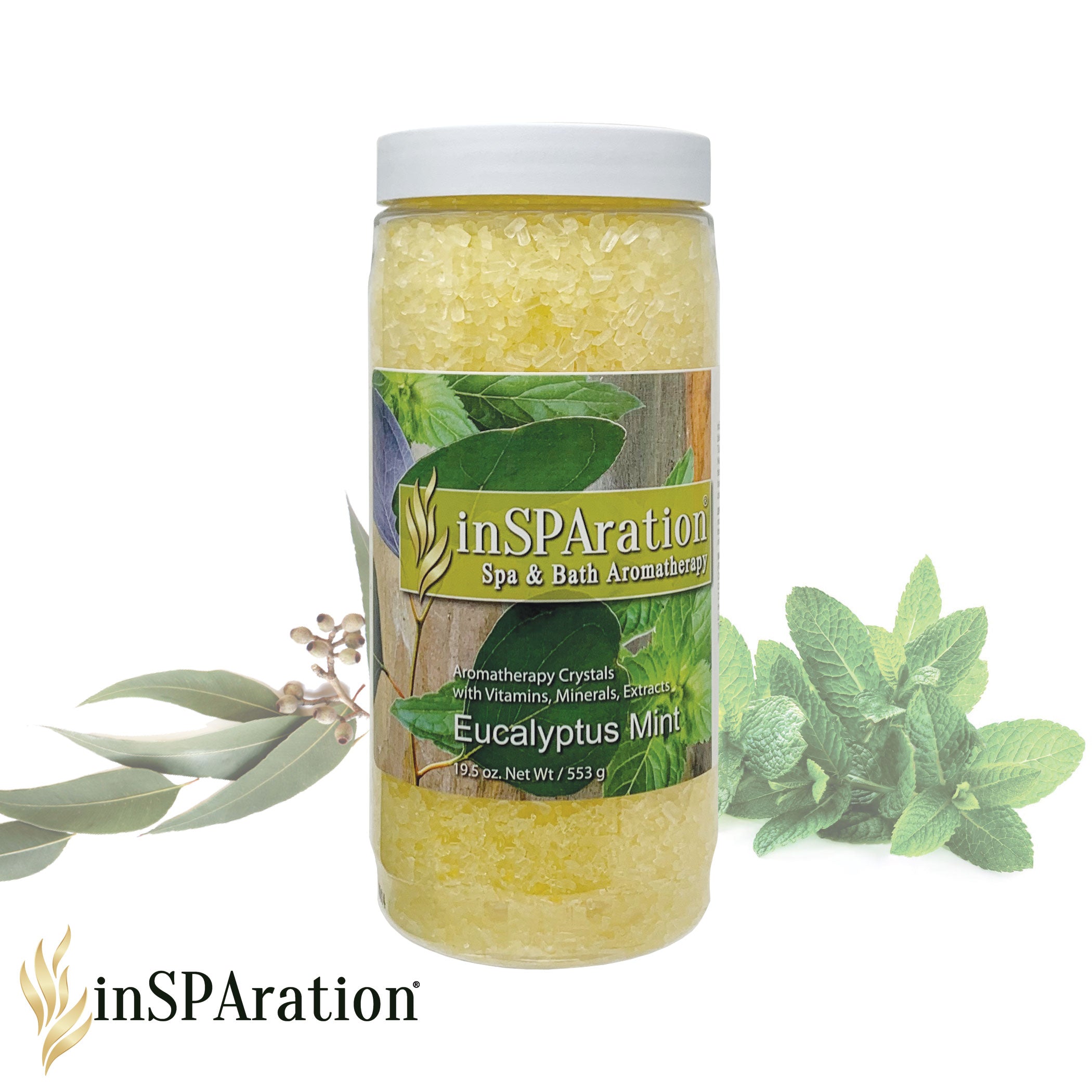 Eucalyptus Mint 19oz - inSPAration Rx Crystals
